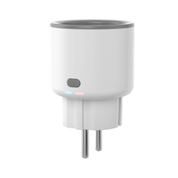 SONOFF S60 Type F/E EU Plug WiFi Socket Smart Home Power Monitor Outlet Overload Protection Timer Smart Scene Remote Con