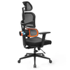[Standard Version] NEWTRAL Ergonomic Office Chair High Back Desk Chair with Unique Adjustable Lumbar Support,  Adjustable
