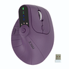 Vertical Ergonomics Wireless Mouse 2.4G/bluetooth 1000-2400DPI Type-C Rechargeable Silent Mice