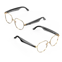 W100B Smart AI Translation Glasses bluetooth 6.0 ChatGPT4.0 Real-Time 163 Languages Translator ENC Noise Cancellation Du