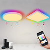 WiFi Smart Ceiling Light With Tuya APP/Alexa/Google RGB Dimmable Indoor LED Ceiling Lights Sync With Music Remote Contro