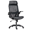 Yoranson T008 Ergonomic Office Chair with 3D Dynamic Armrests Adjustable Height Breathable Mesh Chair 110° Reclining Hom