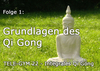 TELE-GYM 22 Integrales Qi Gong Folge 1: Grundlagen des Qi Gong VOD