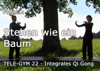 TELE-GYM 22 Integrales Qi Gong Folge 4: Stehen wie ein Baum & Das verwurzelte Gehen VOD