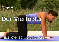 TELE-GYM 32 Starker R