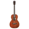 BREEDLOVE Passport Series Parlor Mahogany Westerngitarre