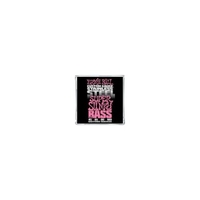 ERNIE BALL Slinky Stainless E-Bass Saiten Satz 45-100