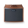 Hughes & Kettner ERA 1 Wood Akustik-Combo
