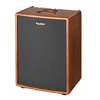 Hughes & Kettner ERA 2 Wood Akustik-Combo B-Ware