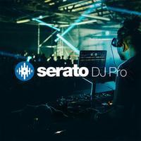 Serato DJ Pro Software (scratchcard)