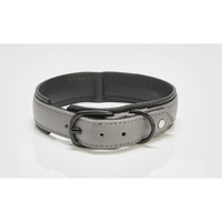 LABONI AMICI Hundehalsband - anthrazit - Umfang 29-34 cm - Länge 40 cm - Breite 2, 4 cm