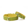 LABONI AMICI Hundehalsband - lemon - Umfang 33-38 cm - Länge 45 cm - Breite 2, 4 cm