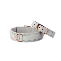 LABONI AMICI Hundehalsband - light grey - Umfang 45-50 cm - Länge 60 cm - Breite 3, 5 cm