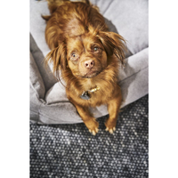 LABONI CLASSIC TUDOR Design-Hundebett - grey - 112 x 95 x 25 cm