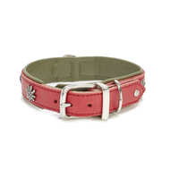LABONI EDELWEISS Hundehalsband - rot-grün - Umfang 25-30 cm - Länge 35 cm - Breite 2, 4 cm