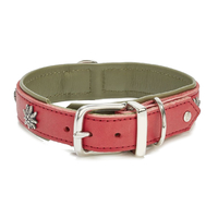 LABONI EDELWEISS Hundehalsband - rot-grün - Umfang 33-38 cm - Länge 45 cm - Breite 2, 4 cm