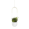 Umbra Bolo Blumenampel - white - 116 x 19 x 16 cm
