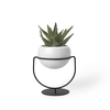 Umbra Nesta Pflanzenhalter - White Speckle - 19x17x14 cm