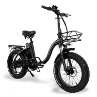 20 Inch Electric Bike Fatbike E-Bike 750w 15Ah 48V 30-45km / h