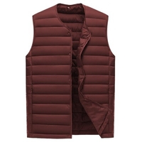 2020 Autumn And Winter Leisure Down Cotton Vest Male Thickening Men