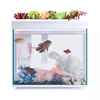 AI intelligent modularity Fish Tank Aquaponics Ecosystem Garden Ecological Fish Tank Aquarium Transparent