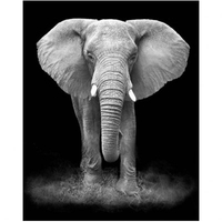 DIY Painting By Numbers Modern Wall Art Picture By Numbers Paint By Numbers For Home Decor w9231