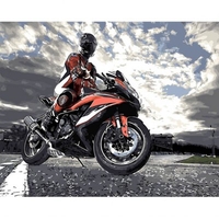 DIY Painting By Numbers Modern Wall Art Picture By Numbers Paint By Numbers For Home Decor w9232