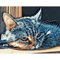 DIY Painting By Numbers Modern Wall Art Picture By Numbers Paint By Numbers For Home Decor w9233