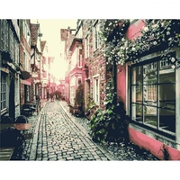 DIY Painting By Numbers Modern Wall Art Picture By Numbers Paint By Numbers For Home Decor w9233