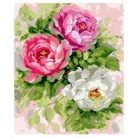 DIY Painting By Numbers Modern Wall Art Picture By Numbers Paint By Numbers For Home Decor w9233