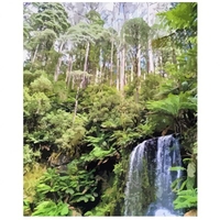 DIY Painting By Numbers Modern Wall Art Picture By Numbers Paint By Numbers For Home Decor w9234