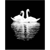 DIY Painting By Numbers Modern Wall Art Picture By Numbers Paint By Numbers For Home Decor w9234