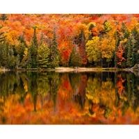 DIY Painting By Numbers Modern Wall Art Picture By Numbers Paint By Numbers For Home Decor w9235