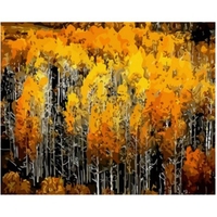 DIY Painting By Numbers Modern Wall Art Picture By Numbers Paint By Numbers For Home Decor w9236