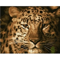 DIY Painting By Numbers Modern Wall Art Picture By Numbers Paint By Numbers For Home Decor w9236