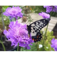 DIY Painting By Numbers Modern Wall Art Picture By Numbers Paint By Numbers For Home Decor w9237