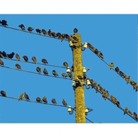 DIY Painting By Numbers Modern Wall Art Picture By Numbers Paint By Numbers For Home Decor w9239