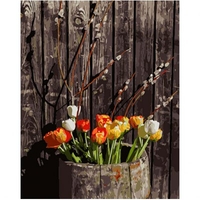 DIY Painting By Numbers Modern Wall Art Picture By Numbers Paint By Numbers For Home Decor w9242