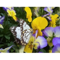 DIY Painting By Numbers Modern Wall Art Picture By Numbers Paint By Numbers For Home Decor w9243