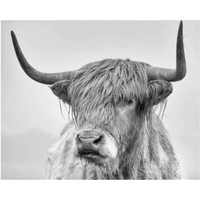 DIY Painting By Numbers Modern Wall Art Picture By Numbers Paint By Numbers For Home Decor w9243