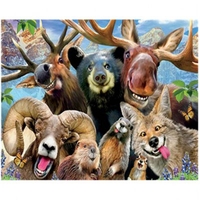 DIY Painting By Numbers Modern Wall Art Picture By Numbers Paint By Numbers For Home Decor w9243