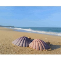 DIY Painting By Numbers Modern Wall Art Picture By Numbers Paint By Numbers For Home Decor w9244