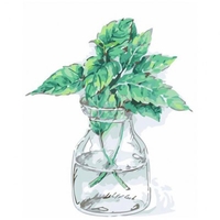 DIY Painting By Numbers Modern Wall Art Picture By Numbers Paint By Numbers For Home Decor w9244