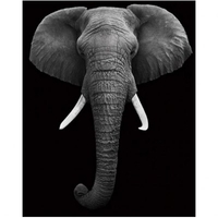 DIY Painting By Numbers Modern Wall Art Picture By Numbers Paint By Numbers For Home Decor w9245