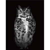 DIY Painting By Numbers Modern Wall Art Picture By Numbers Paint By Numbers For Home Decor w9248