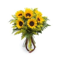 DIY Painting By Numbers Modern Wall Art Picture By Numbers Paint By Numbers For Home Decor w9248