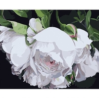 DIY Painting By Numbers Modern Wall Art Picture By Numbers Paint By Numbers For Home Decor w9249