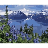 DIY Painting By Numbers Modern Wall Art Picture By Numbers Paint By Numbers For Home Decor w9250