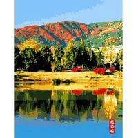 DIY Painting By Numbers Modern Wall Art Picture By Numbers Paint By Numbers For Home Decor w9253