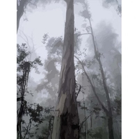 DIY Painting By Numbers Modern Wall Art Picture By Numbers Paint By Numbers For Home Decor w9253